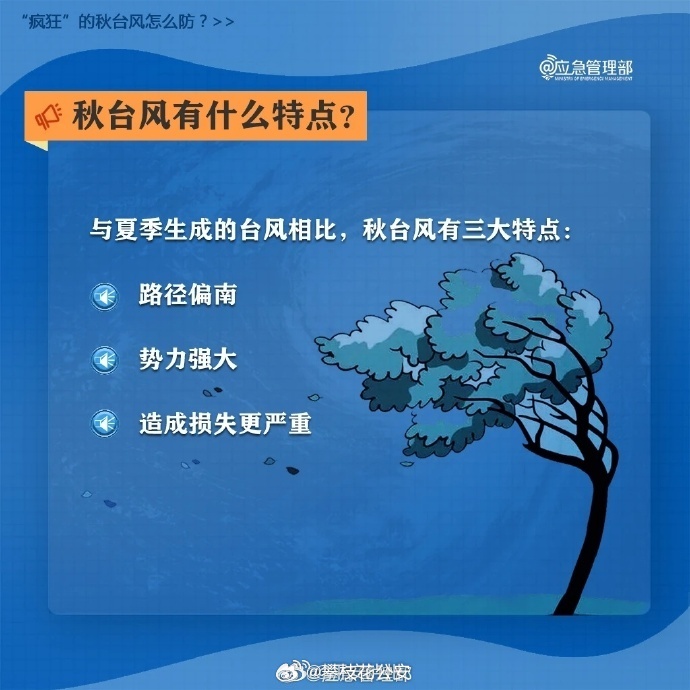 天鹆台风最新动态及防御应对指南，初学者与进阶用户必备知识