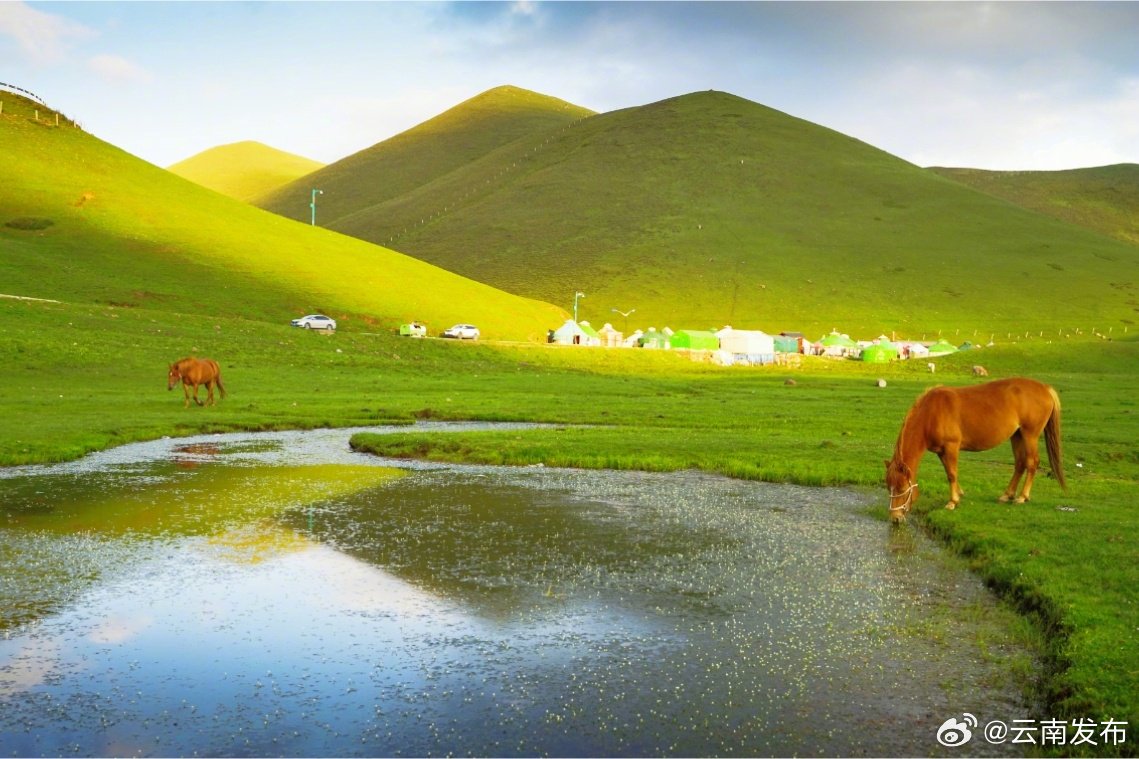西峡最新新闻，拥抱自然，心灵宁静之旅