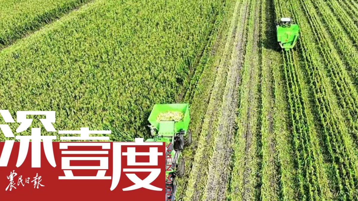 金稻最新款引领农业创新风尚