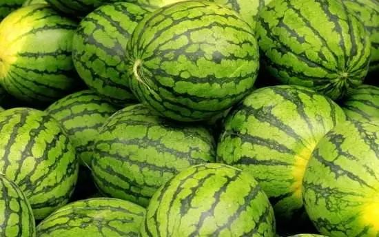 夏日甜蜜时光，切西瓜最新版游戏体验