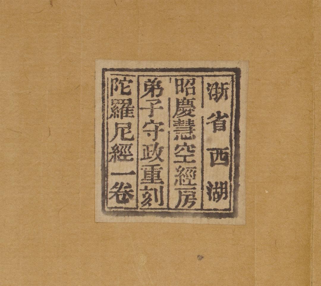 普光明藏经最新感应，与自然的美丽邂逅之旅