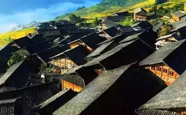 汾西矿业最新动态，心灵与自然的奇妙之旅