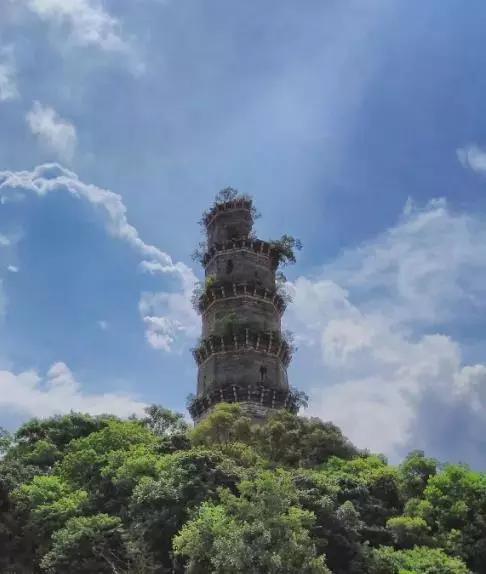 广东地震最新动态更新，最新地震消息揭秘
