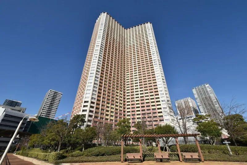 日本入境最新政策解读与分析