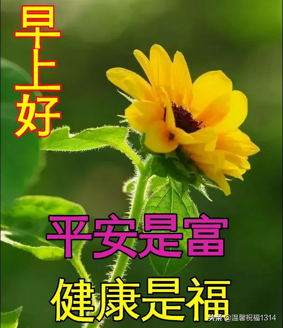 最新生娃电视剧探秘，美景之旅，心灵宁静的追寻