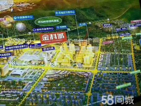 郴州金科城最新房价揭秘，小巷深处的惊喜探索