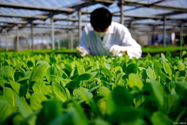 商丘LED显示屏维修 第15页