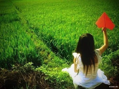 青青青草视频最新班长，绿色旅行中的内心平静探寻