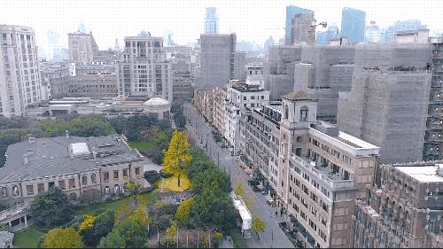 重生原始时代，时空冒险的论述