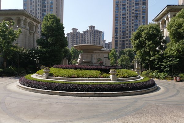 盛泽苏杭之星最新动态，追梦之光引领成长之路
