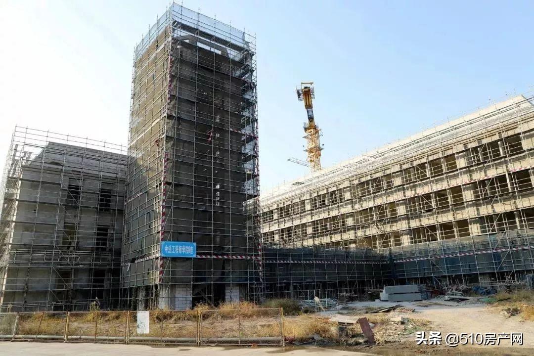 江阴尚城国际，爱与陪伴的温馨日常最新消息速递