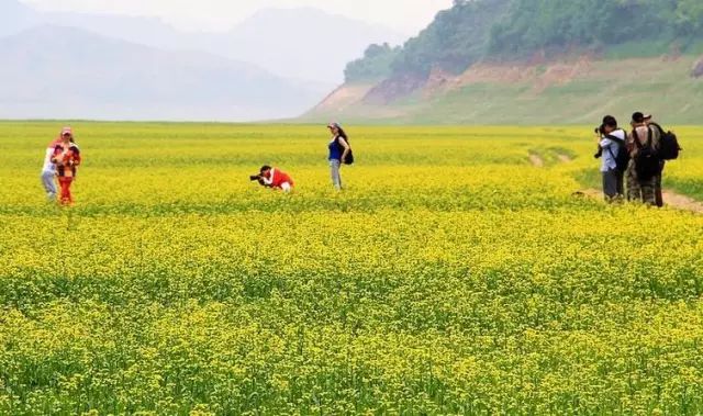 最新一期笑口组，探索自然美景，寻找内心平和的旅行
