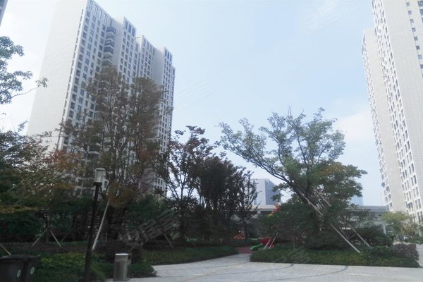 汇悦湾花苑最新房价，前沿科技居住体验展现生活品质升级