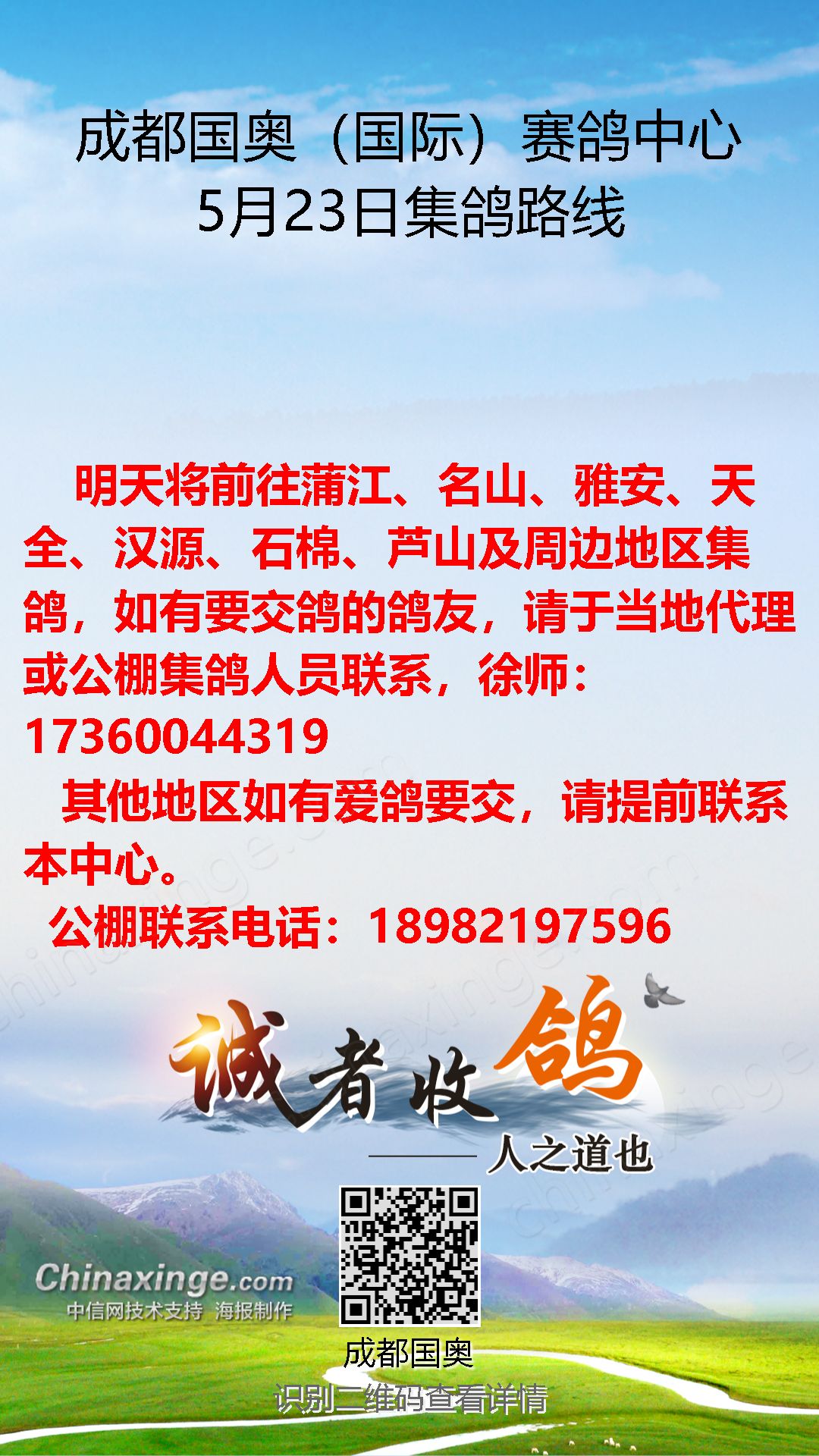 成都国奥公棚最新动态更新