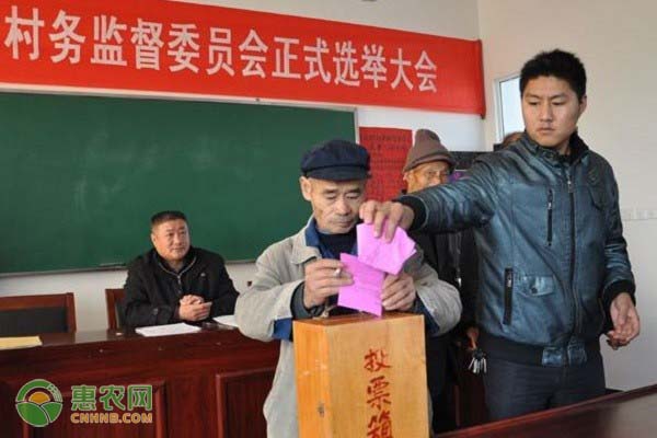 揭秘2017村主任选举法，公平、公正、公开，共建美丽乡村新篇章