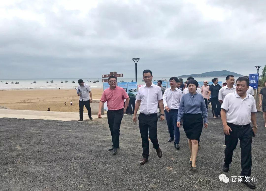 苍南新城区最新动态，时代脉搏下的未来蓝图展望