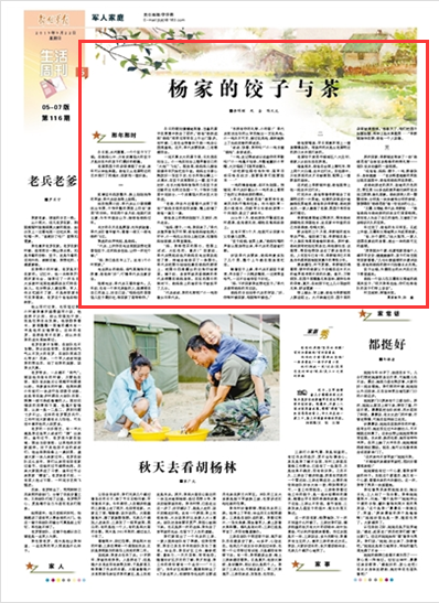 杨家才最新消息少女，日常趣事与友情的温馨篇章更新报道
