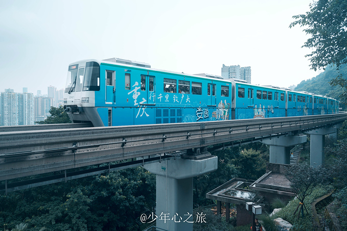 轻轨5号线最新动态与小巷独特风味小店的探秘之旅