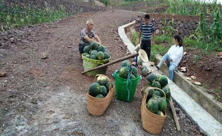 龙溪香岸三期最新价格揭秘，自然美景探索之旅的独家报道