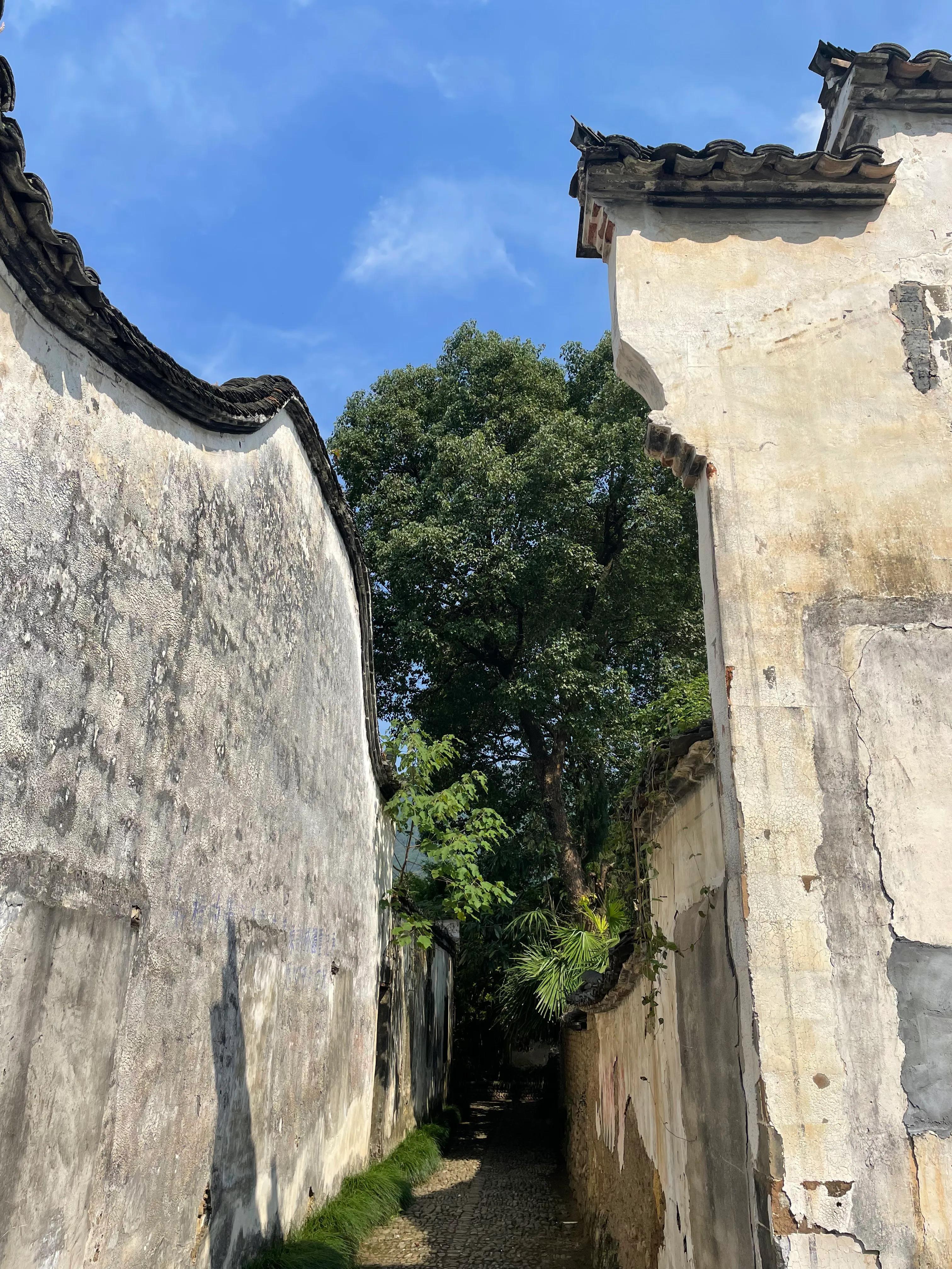 南充龙门古镇科技引领未来生活新潮，最新消息揭秘
