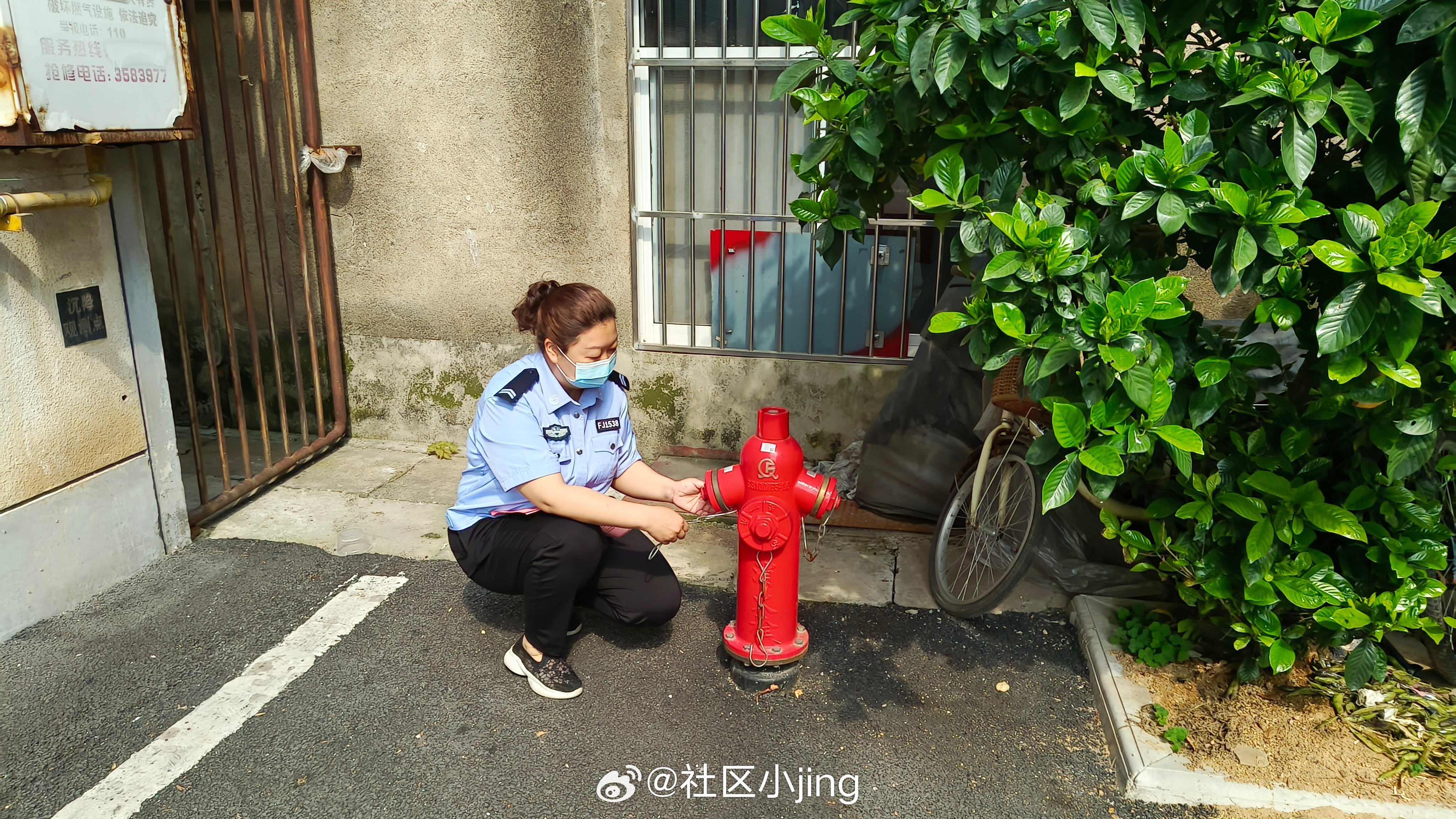 草社区榴最新地址手机，时代的印记与变迁