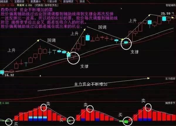 海立股份最新动态，变化中的学习之旅，成就感的源泉与股票动态更新